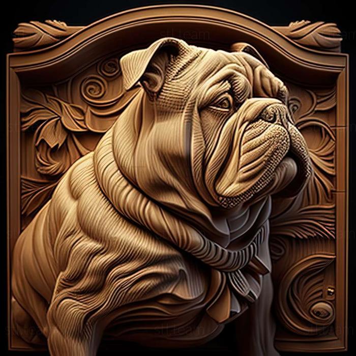 Catahula Bulldog dog